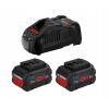 Bosch Batterie 18V 5,5Ah x2 e caricabatteria ProCore/GAL 1880 CV mod.  1600A0214C EAN 4059952560106