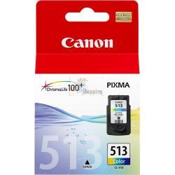 ORIGINALE Canon Cartuccia d'inchiostro differenti colori CL-513 2971B001 ~349 Pagine 13ml mod.  CL-513 2971B001 EAN 4960999617022