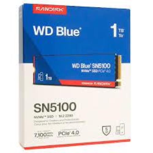 Western Digital mod. WDS100T5B0E EAN 718037906256