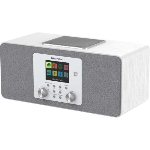 GRUNDIG DTR 6100 BIAN. MOD. GTR1190 EAN 4013833074175