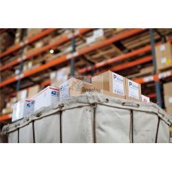 ORIGINALE DYMO Etichette Bianco 2093092 99014 DYMOÂ® LW - Etichette di spedizione/badge nominativi - 54 x 101 mm - 2093092 2093092 99014 EAN 3026980930929