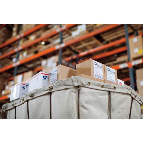 ORIGINALE DYMO Etichette Bianco 2093092 99014 DYMOÂ® LW - Etichette di spedizione/badge nominativi - 54 x 101 mm - 2093092 2093092 99014 EAN 3026980930929