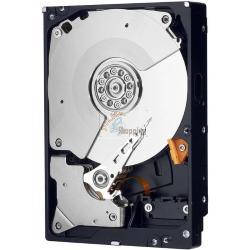 Western Digital mod. WD6004FZBX EAN 0718037896731