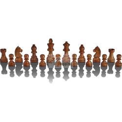 MILLENNIUM SCHACHCOMPUTER THE KING PERFORMANCE MOD. M830 EAN 4032153008301