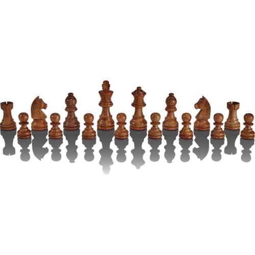 MILLENNIUM SCHACHCOMPUTER THE KING PERFORMANCE MOD. M830 EAN 4032153008301