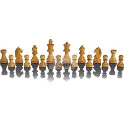 MILLENNIUM SCHACHCOMPUTER THE KING PERFORMANCE MOD. M830 EAN 4032153008301