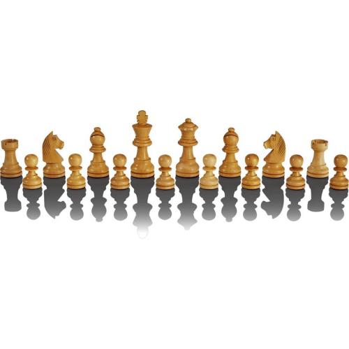 MILLENNIUM SCHACHCOMPUTER THE KING PERFORMANCE MOD. M830 EAN 4032153008301