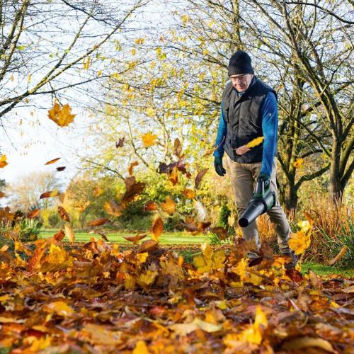 BOSCH ADVANCEDLEAFBLOWER 36V-750 MOD. 06008C6001 EAN 4059952568942