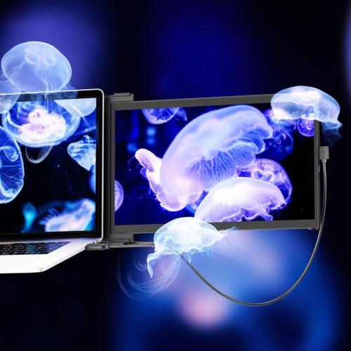 MOBILE PIXELS DUEX MAX DS 14,1 MONITOR EXTENDER MOD. 101-1007P06 EAN 850001446990