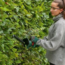 BOSCH EASYHEDGECUT 18V-52-13 TAGLIASIEPI A BATTERIA SOLO MOD. 0600849M00 EAN 4059952655048