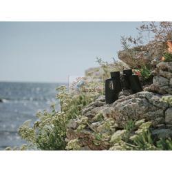 OLYMPUS 8X42 EXPS I MOD. 18793 EAN 50332133846