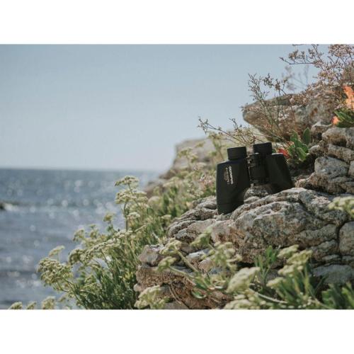 OLYMPUS 8X42 EXPS I MOD. 18793 EAN 50332133846