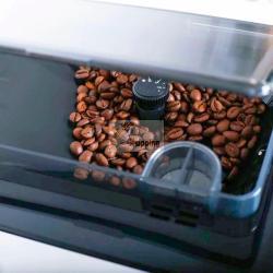 ACOPINO CREMONA BIANCO MOD. CREMONA WEISS EAN 755717334183