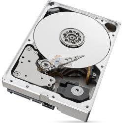 HDD Seagate IronWolf 10TB Sata-3 NAS mod. ST10000VN000