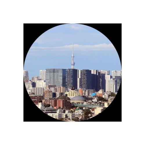 CANON BINOCOLO 12X36 IS III MOD. 9526B005AA EAN 4549292009897