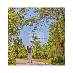 Lancia Troncarami Telescopica GARDENA StarCut Pro L