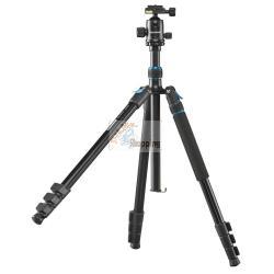 CULLMANN RONDO 480M RB8.5 MOD. 52231 EAN 4007134022140