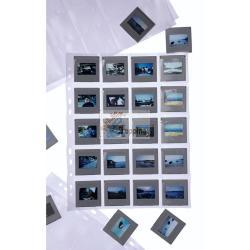 HERMA CUSTODIA DIA 5X5 100 FOGLI CHIARO/OPACO 7699 MOD. 7699 EAN 4008705076999