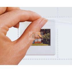 HERMA CUSTODIA DIA 5X5 100 FOGLI CHIARO/OPACO 7699 MOD. 7699 EAN 4008705076999