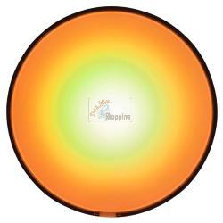 PHILIPS HUE GO LED LAMPADA BT 520LM WHITE COLOR AMBIANCE BATT. MOD. 915006000000 EAN 8718696173992