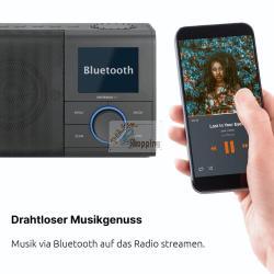 TECHNISAT DIGITRADIO 217 NERO MOD. 0000/3998 EAN 4019588039988