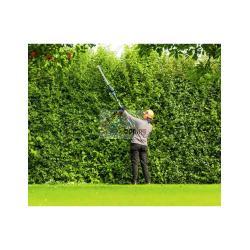 Tagliasiepi BOSCH GHE 18V-50 FP (Solo corpo)