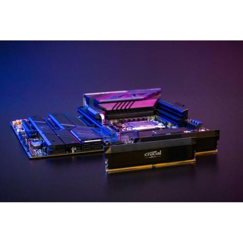 Crucial Pro DDR5-6000 64GB Kit (2x 32GB) OC Gaming Black mod. CP2K32G60C40U5B