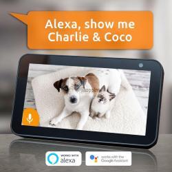 TOUCAN SEEK - INDOOR PAN & TILT CAMERA - PLUG IN NO BATTERY MOD. TPTSC01WU-ML EAN 5060719471299