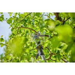 GARDENA CESOIA TELESC.ALB. BATT. HIGHCUT 250/18V P4A SOLO MOD. 14774-55 EAN 4078500065559