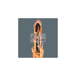 WERA BIT-CHECK 10 PZ IMPAKTOR 1 MOD. 5057684001 EAN 4013288157829