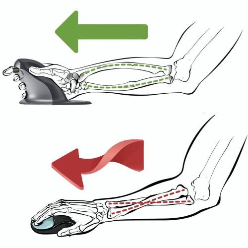 FELLOWES PENGUIN AMBIDESTRO MOUSE VERTICALE S - WIRELESS MOD. 9894901 EAN 0043859735952