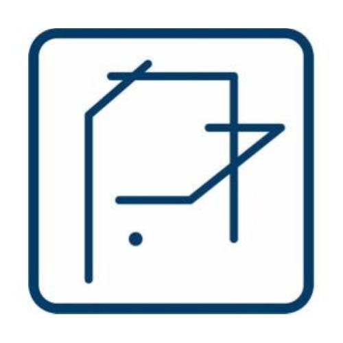 Laser a linea della Croce Rossa Bosch GLL3-50 + BM1 + L-Boxx