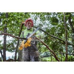 DeWalt DCMCS575N-XJ Motosega a batteria 50 cm 13,5 m/s solo corpo macchina 54V Li-Ion