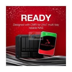 Seagate IronWolf Pro ST10000NT001 Hard Disk NAS 10TB SATA