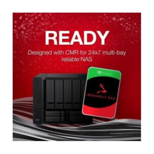 Seagate IronWolf Pro ST10000NT001 Hard Disk NAS 10TB SATA