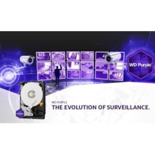 WD Purple WD84PURZ Hard Disk Interno 8TB SATA