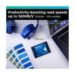 WD Blue SA510 WDS100T3B0A-00AXR0 SSD SATA 1TB 2.5 pollici
