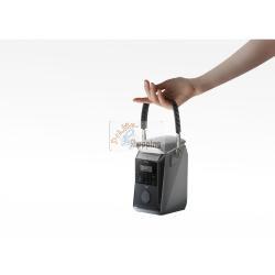 ECOFLOW TRAIL PLUS 300 DC POWERSTATION PORTATILE MOD. EF-TRAIL300PLUS-N EAN 4895251648424