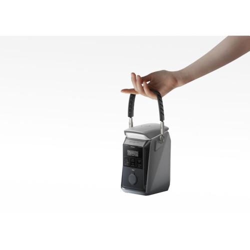 ECOFLOW TRAIL PLUS 300 DC POWERSTATION PORTATILE MOD. EF-TRAIL300PLUS-N EAN 4895251648424