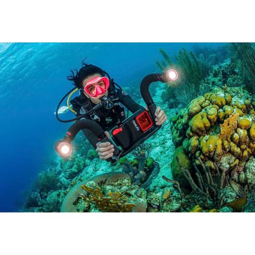 SEALIFE FLEX CONNECT FLEX ARM (SL9901) MOD. 835.990.001 EAN 0077068499015