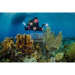 SEALIFE FLEX CONNECT FLEX ARM (SL9901) MOD. 835.990.001 EAN 0077068499015