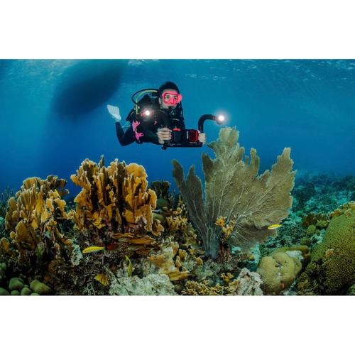 SEALIFE FLEX CONNECT FLEX ARM (SL9901) MOD. 835.990.001 EAN 0077068499015