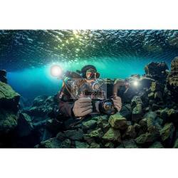 SEALIFE FLEX CONNECT FLEX ARM (SL9901) MOD. 835.990.001 EAN 0077068499015