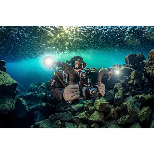 SEALIFE FLEX CONNECT FLEX ARM (SL9901) MOD. 835.990.001 EAN 0077068499015