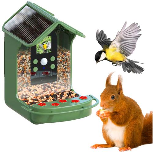 EASYPIX BIRD CAM MOD. 10123 EAN 4260041686533