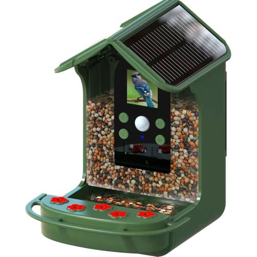 EASYPIX BIRD CAM MOD. 10123 EAN 4260041686533