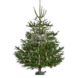 KRINNER X-280 DELUXE MOD. 94335 EAN 4011972943352