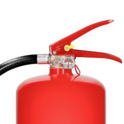 ALECTO FIRE EXTINGUISHER POWDER 6 KG MOD. BP-6 EAN 8712412585113