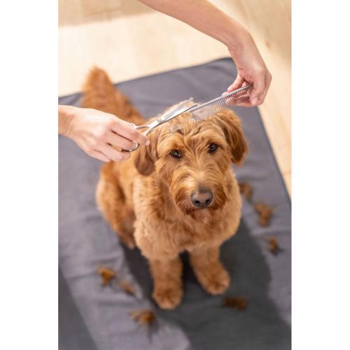 BEURER PP 110 FLUFFY FUR TRIMMER MOD. 10530 EAN 4211125105303