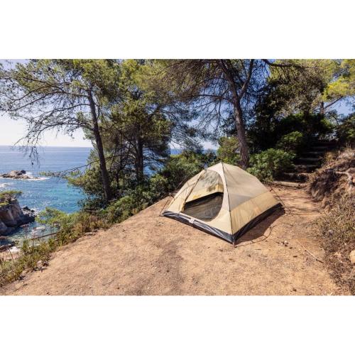 COLEMAN DARWIN SUMMER 3 MOD. 2227923 EAN 3138522137083